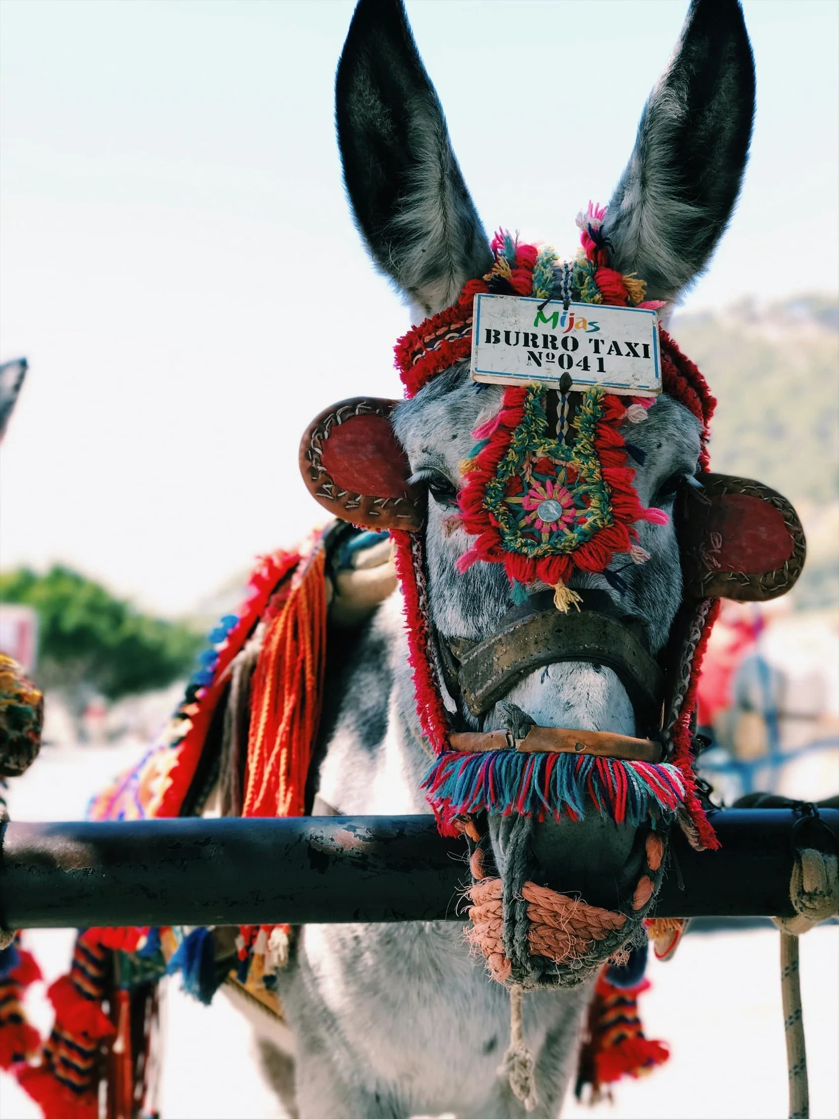 Property Management in Mijas: Why Location Changes the Work